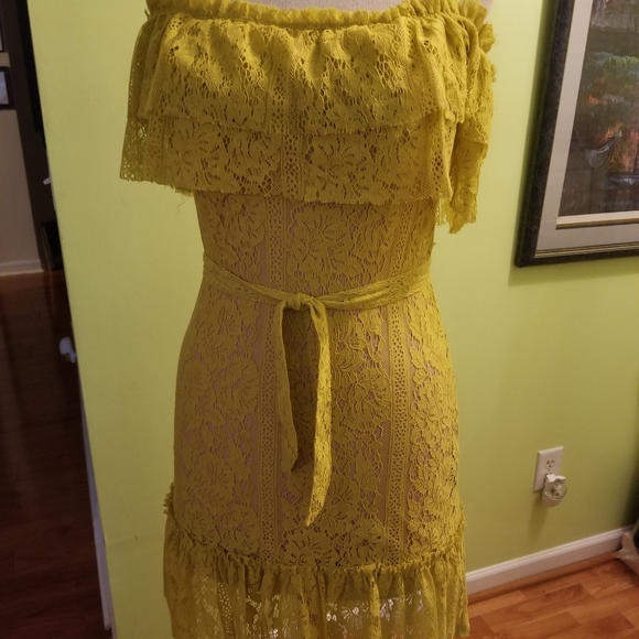 Flirty and Feminine Lace Dress by Sharagano - Picture 7 of 7